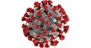 A close up of the center part of a virus.